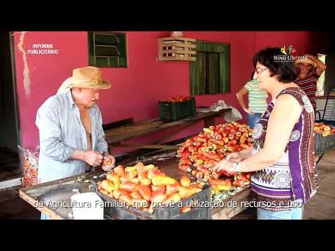 MEIO AMBIENTE E AGRICULTURA Youtube IpfQKb6KRq8