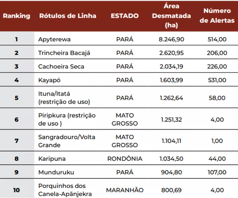 Pesquisa aponta que MT tem 7 terras indígenas com alto índice de desmatamento 117