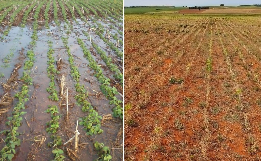 Temporais e calor afetam plantio e colheitas neste fim de semana seca e chuva