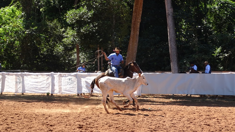 Foto37186