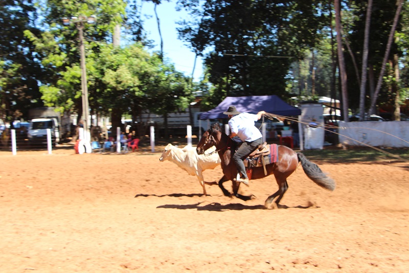 Foto41622