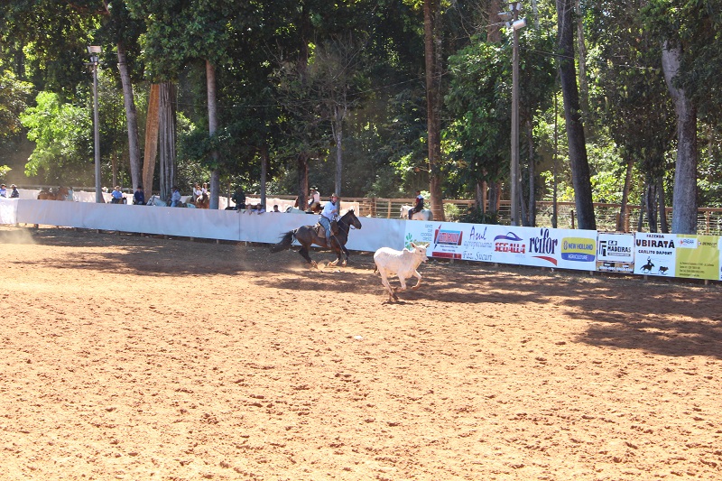 Foto42970