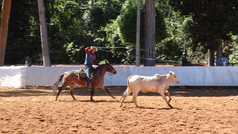 Foto44220