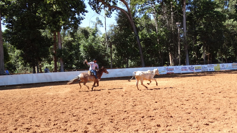 Foto46921