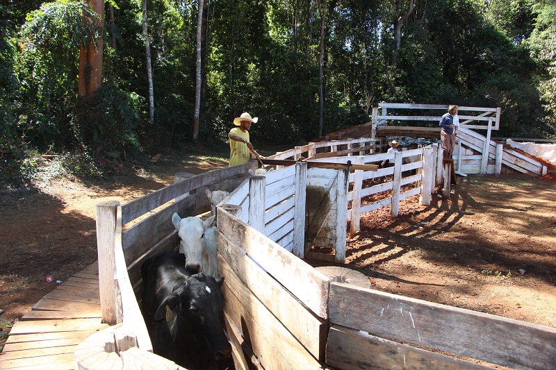 Foto47119
