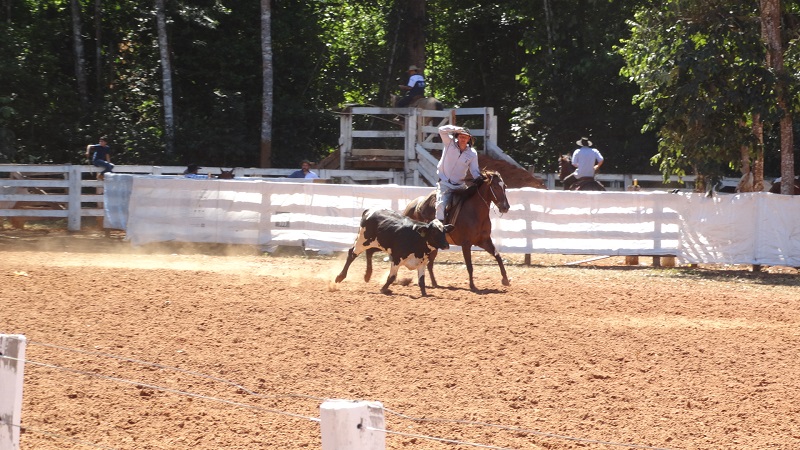 Foto48061