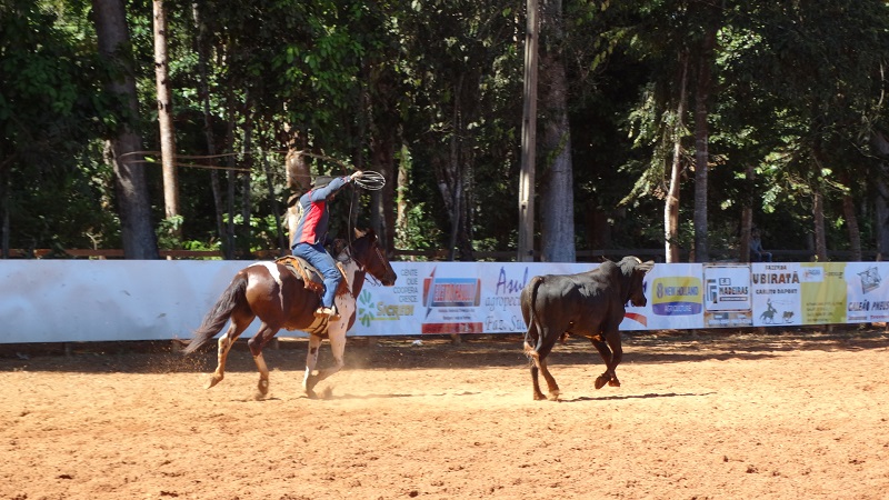 Foto51382