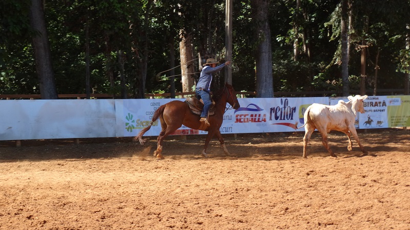 Foto59753
