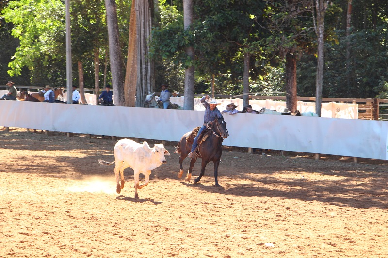 Foto62691