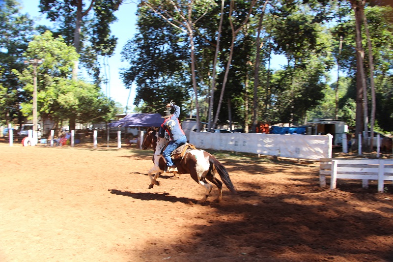 Foto64289