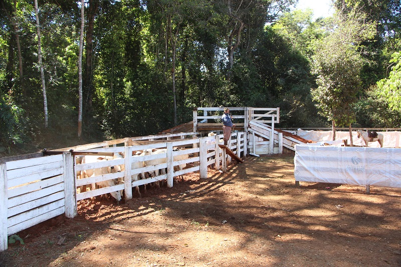 Foto65305