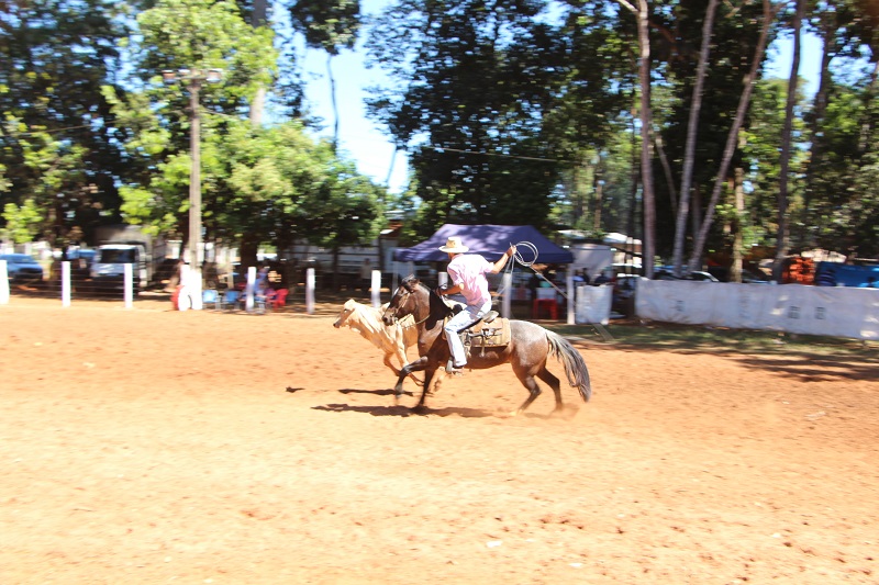 Foto66641