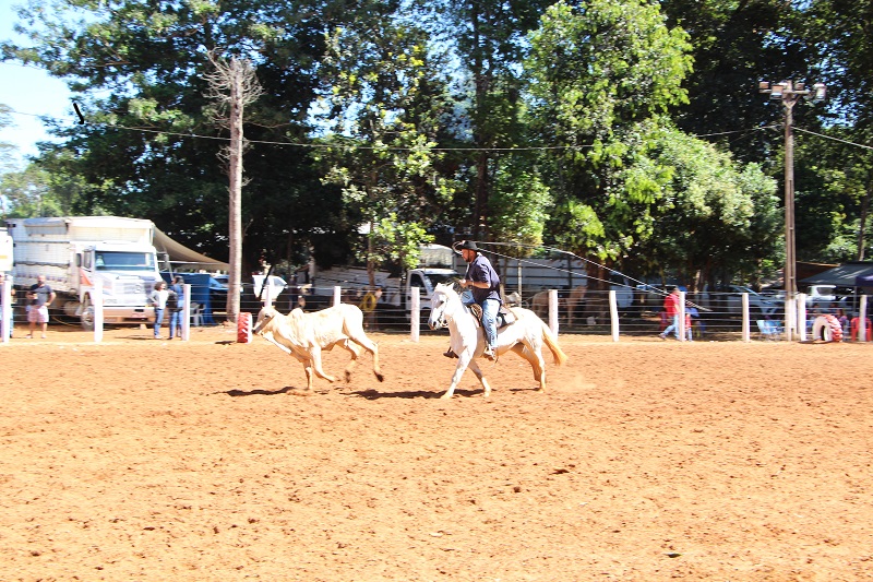 Foto66644
