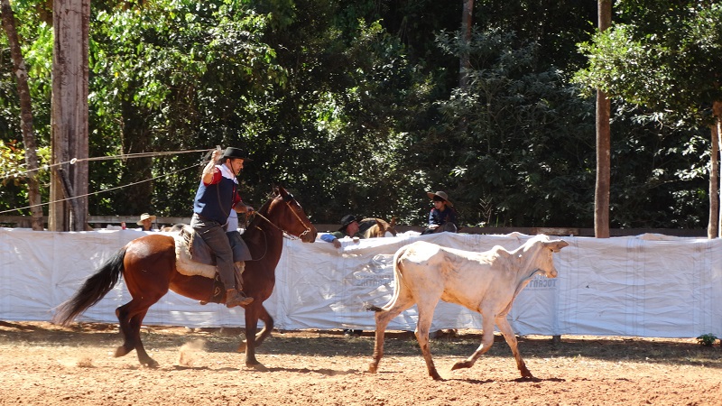 Foto68689