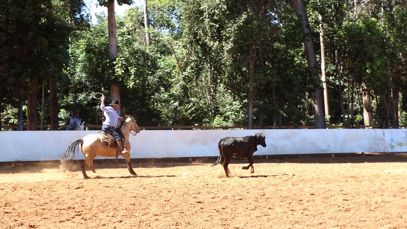 Foto82469