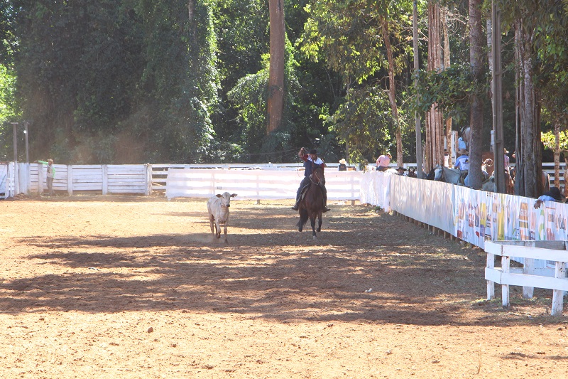 Foto8493