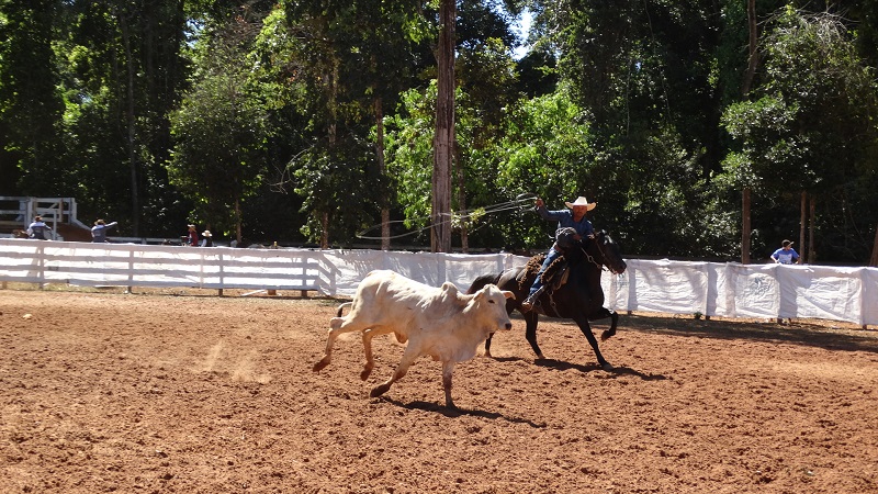 Foto92917