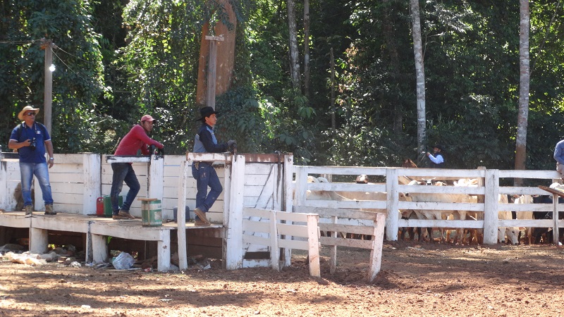 Foto93468