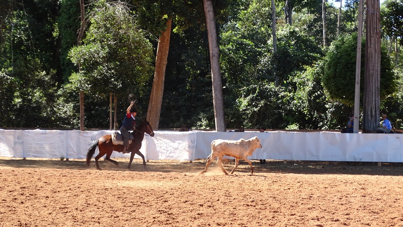 Foto97019