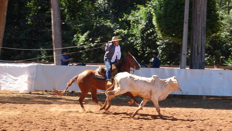 Foto97766