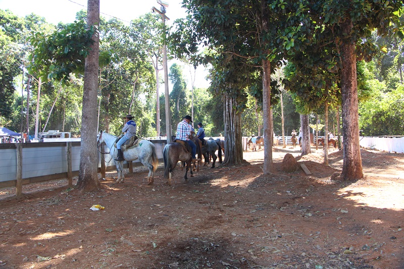 Foto98142