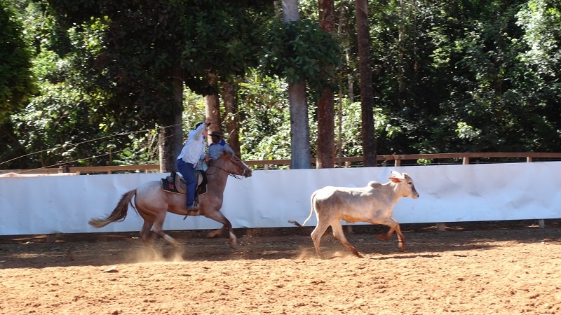 Foto99123