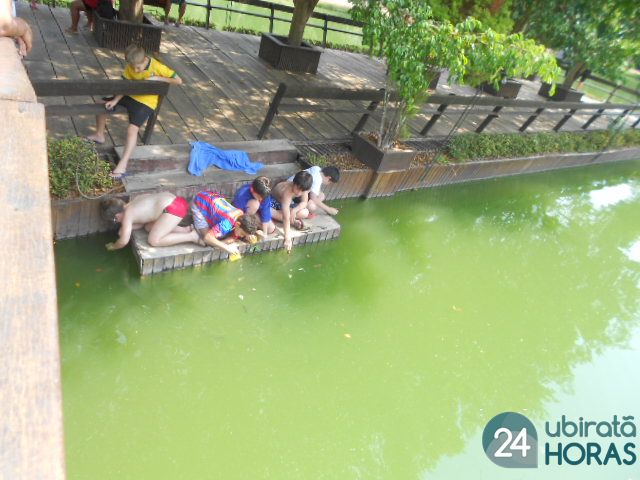 Foto42582
