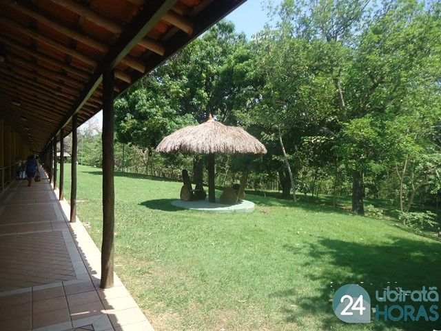 Foto35081