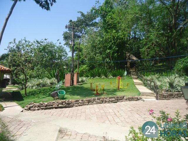 Foto43199
