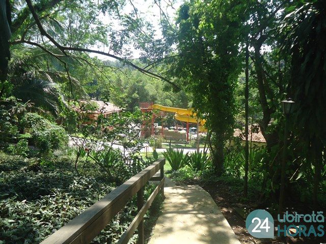 Foto52065