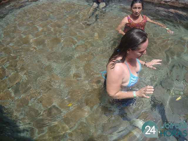 Foto72431