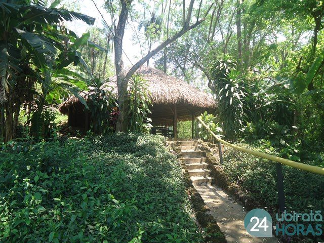 Foto87895