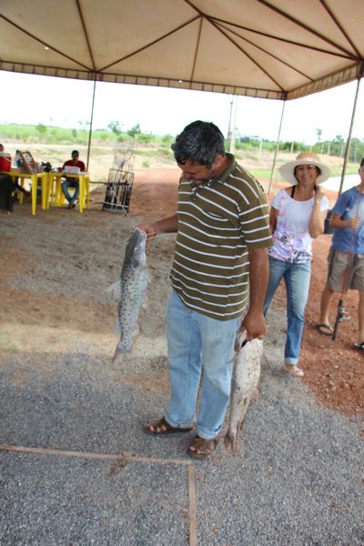 Foto34052