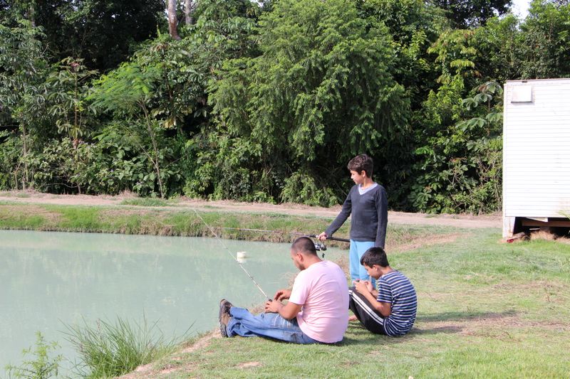 Foto82741