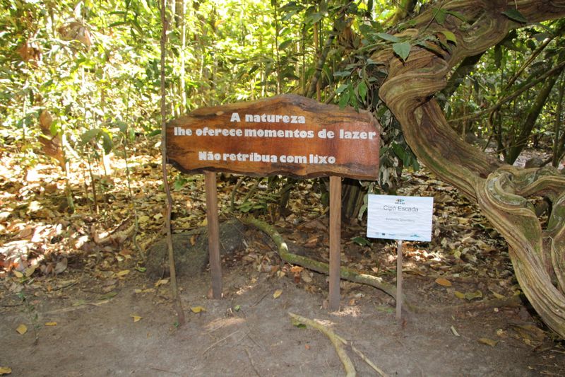 Foto65049