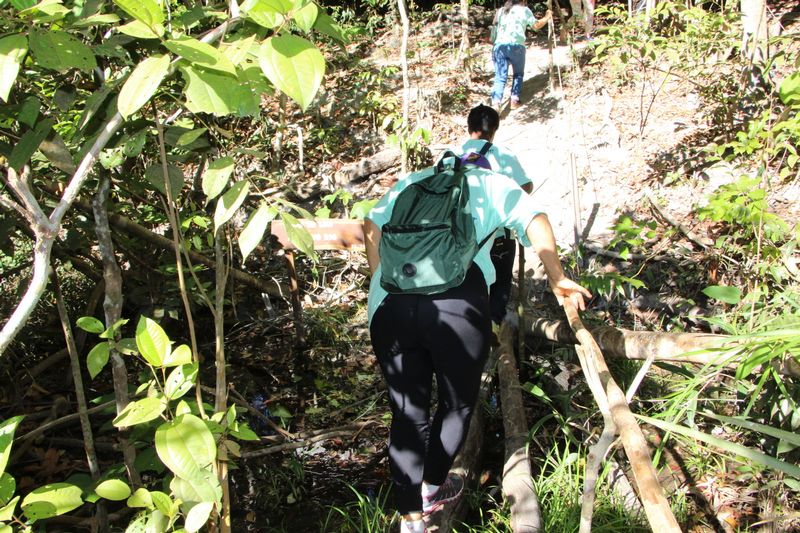 Foto94215