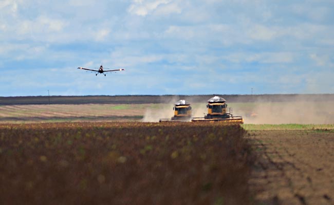 Valor da produção agropecuária encerra 2016 em R$ 527,9 bilhões Foto61801