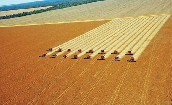 Estados Unidos devem produzir mais de 100 milhões de toneladas de soja em 2014/2015 Foto24382