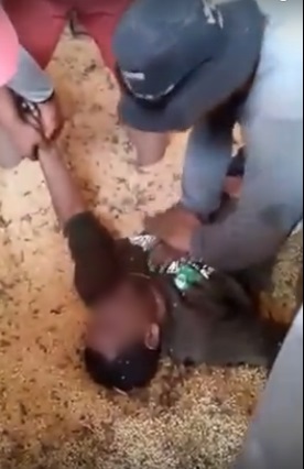Funcionário de fazenda morre soterrado em silo de grãos Foto30295