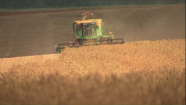 Colheita acaba e recorde é confirmado Foto39893
