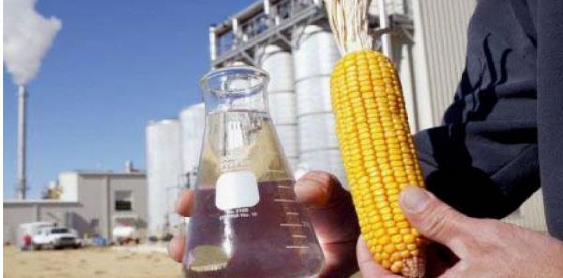 Mato Grosso será pioneiro em produção de etanol de milho Foto59136