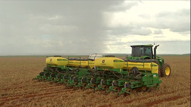 Queda do preço provoca redução da área plantada com algodão em MT Foto92006