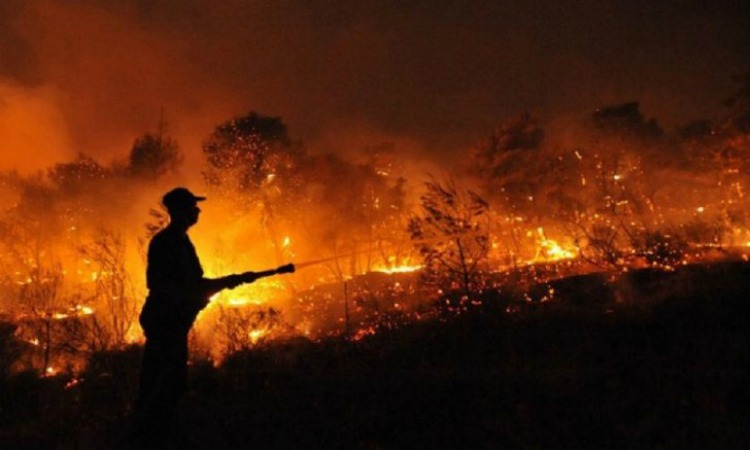 Mato Grosso lidera o ranking de focos de incêndio no país; Nova Ubiratã é 3º da lista Foto70371