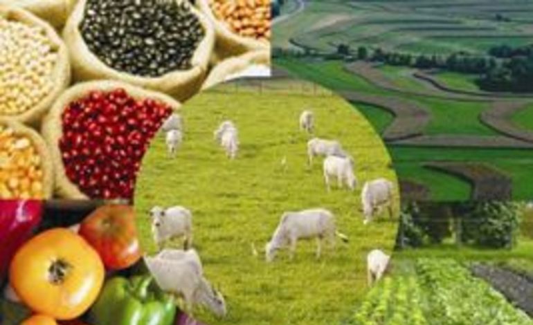 Ásia é o mercado com maior potencial para expandir exportações do agro brasileiro Foto37503
