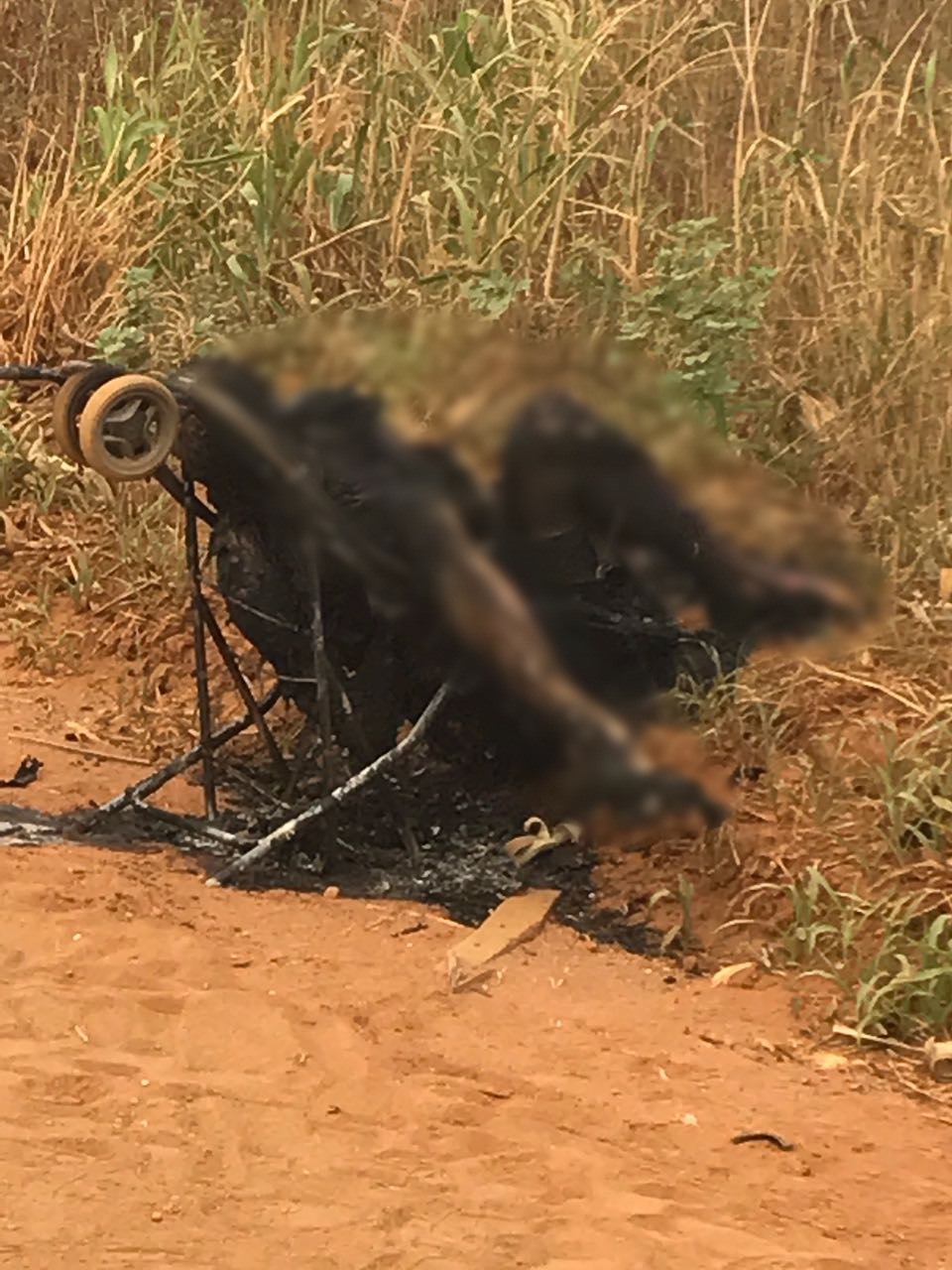 Corpo carbonizado é encontrado em estrada vicinal de Feliz Natal Foto87851