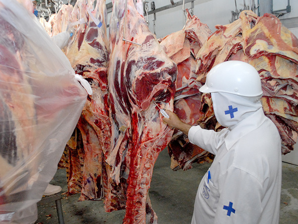 Rússia encontra substâncias proibidas e suspende importação de carne brasileira Foto97879