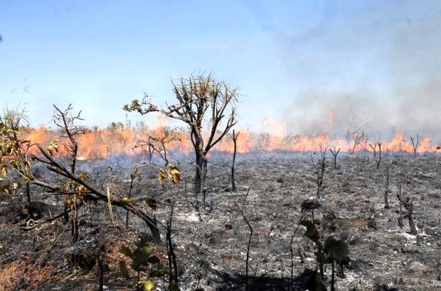 Período de proibição de queimadas em Mato Grosso termina na segunda-feira, 15 Foto94392