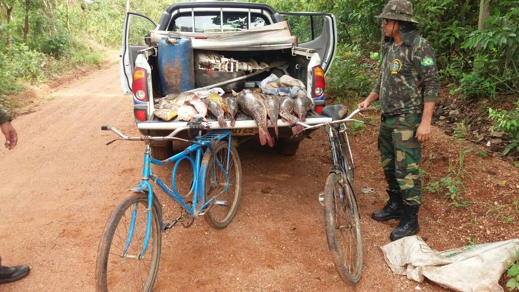 Fiscalização apreende 62 kg de pescado irregular Foto68334