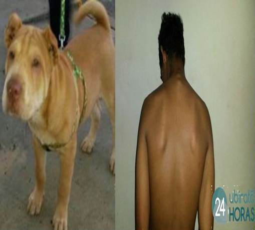 Adolescente com várias passagens é apreendido com roupas e cachorro furtado de residência Foto27302