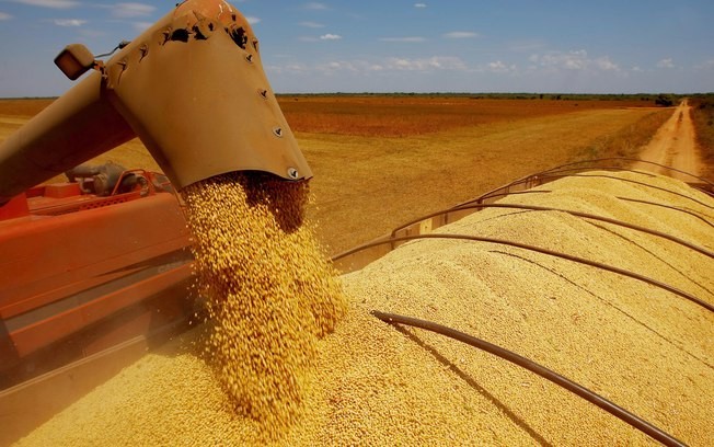 Produção cai, mas participação de Mato Grosso aumenta Foto74840